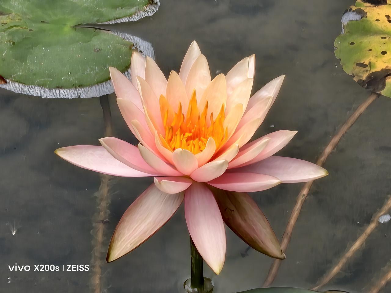 你认为的养生秘诀是什么该吃就吃，该喝就喝，怎么开心怎么过，怎么快活怎么过，不斤斤