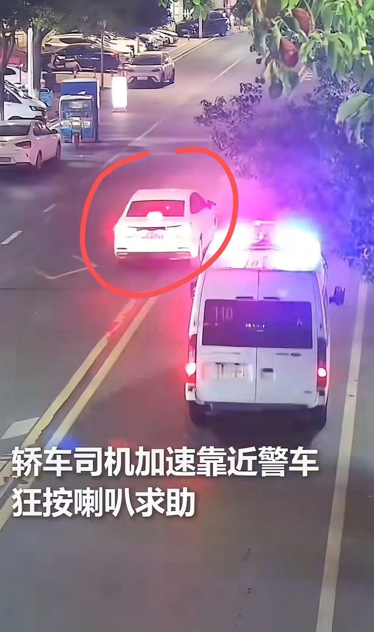 “同志，帮我引一下路，孩子没气了！”浙江嘉兴，2岁女童突然昏厥，家长送孩子就医途