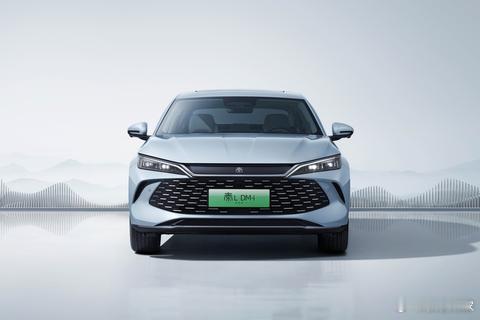比亚迪App商城上线了一个车机屏幕小换大服务：1999元把12.8英寸屏升级到1
