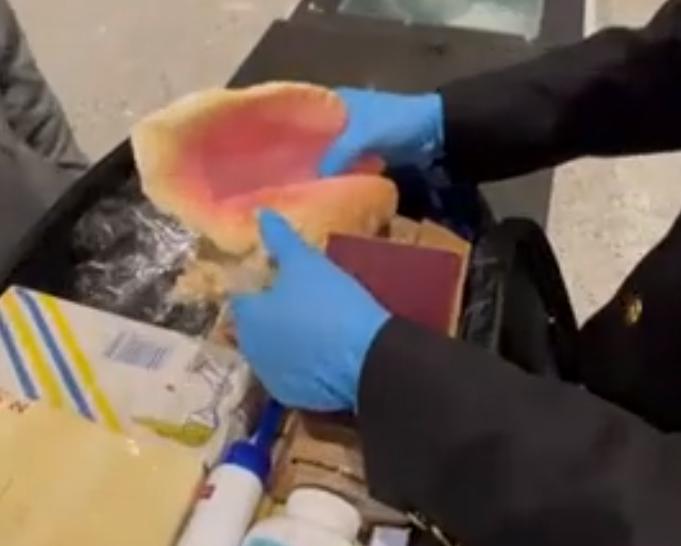 2023年3月，广州海关惊现巨型女王凤凰螺，凤凰螺重达3.2斤，独有的孔克珠曾被