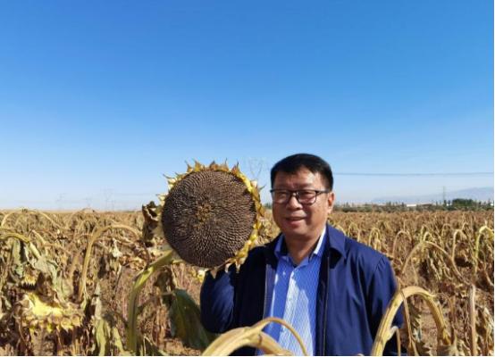 我国工程界大乌龙事件！2009年，重庆大学教授易志坚在研究物质力学时，意外发现了