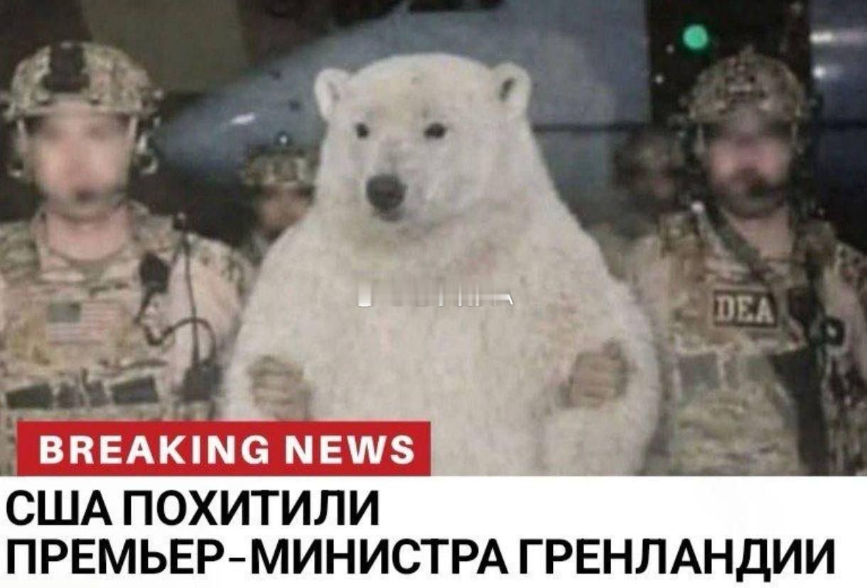 突发！格陵兰公民被土匪集团三脚粥绑架！欧洲军人稀稀拉拉登上格陵兰岛