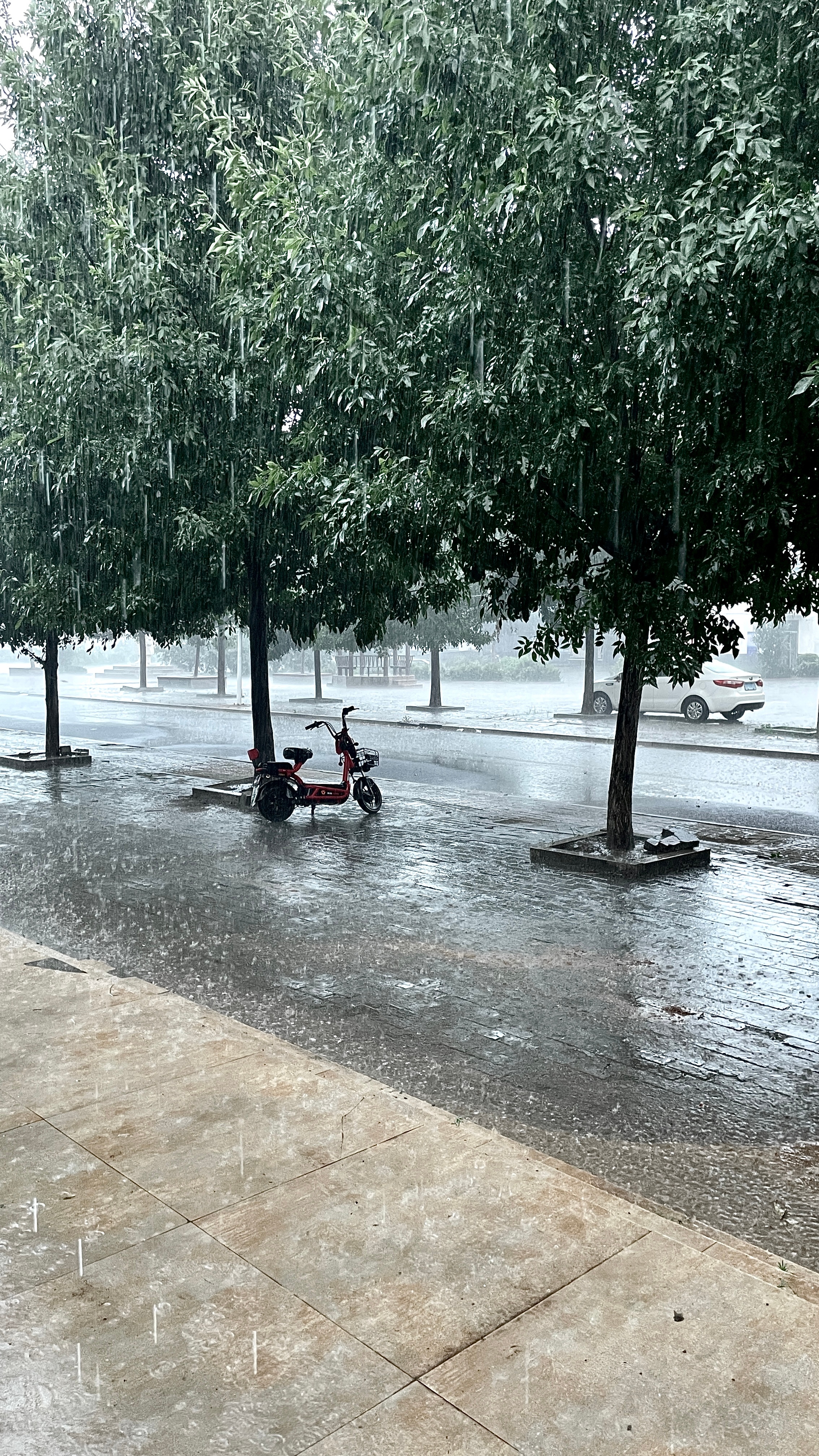 我去 要干嘛 忽然间就下大雨 我正在干活呢 忽然间听到下雨了 然后她们都紧急把电