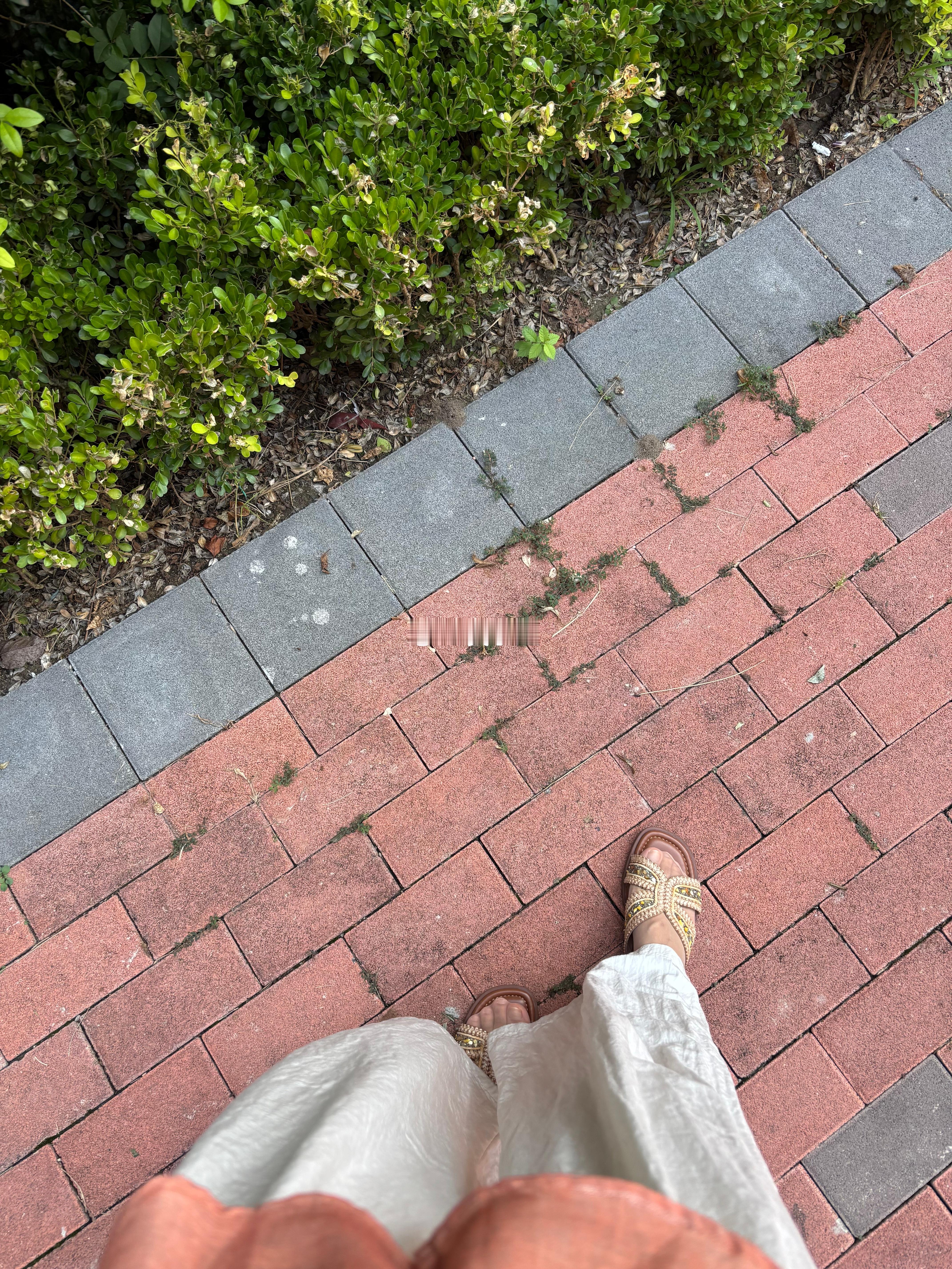 秋高气爽，内搭不简单的老阿姨继续遛早~ 