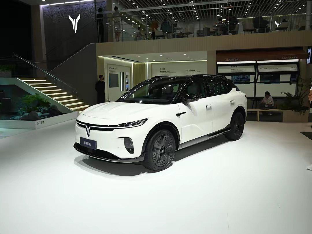 #大v聊车# 岚图车标引出了贯穿式灯带连接了扁平的大灯组，下方雾灯区有着双层远近