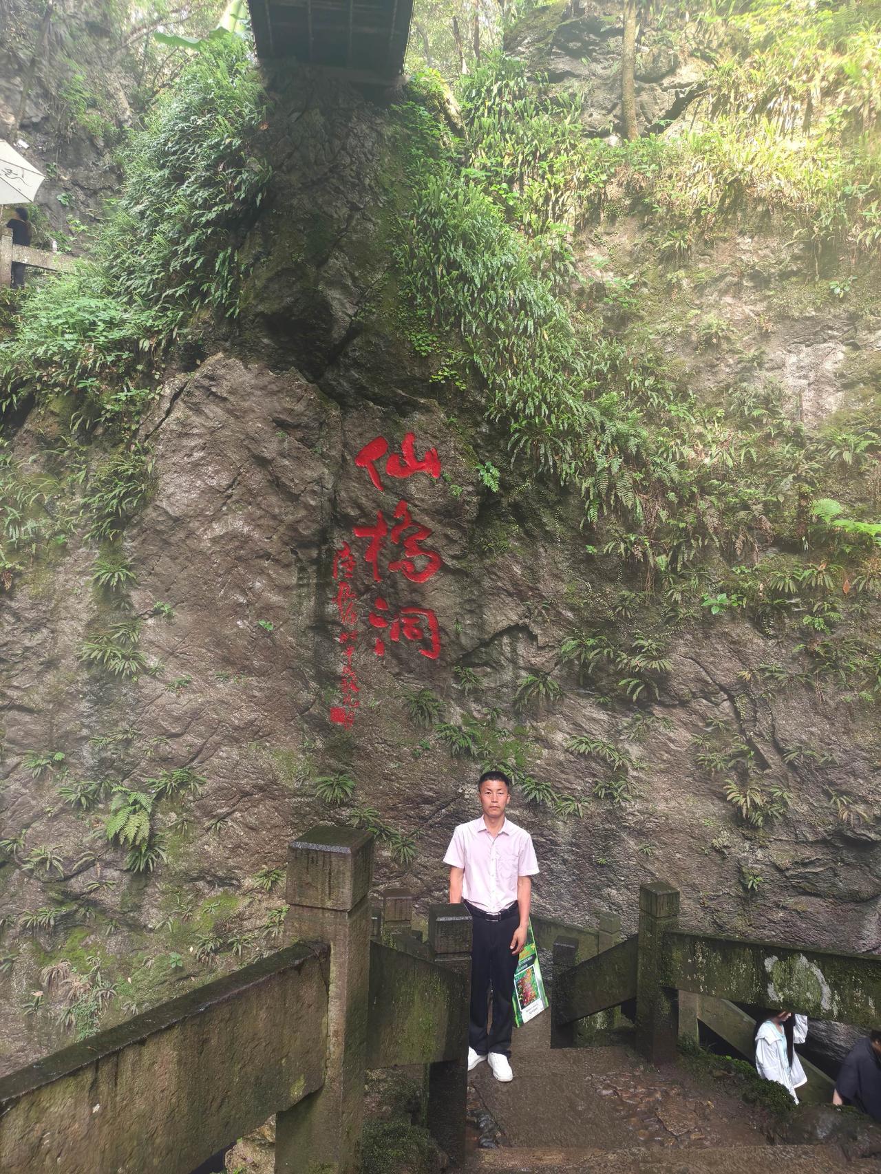 花开处处美