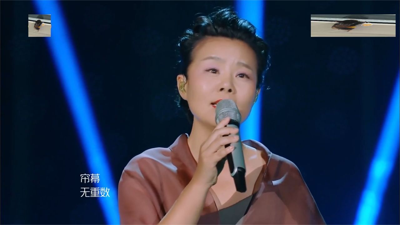 龚琳娜《庭院深深》