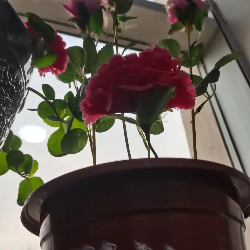 经典原版下联
上联：有心栽花花不发
下联：无意插柳柳成荫
解析
1. 对仗：“有