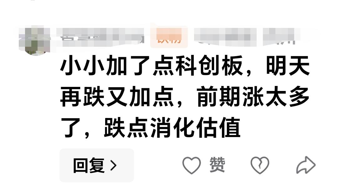 基金：小小加了点科创板，明天再跌再加点，前期涨太多了，跌点消化估值。  这是一位