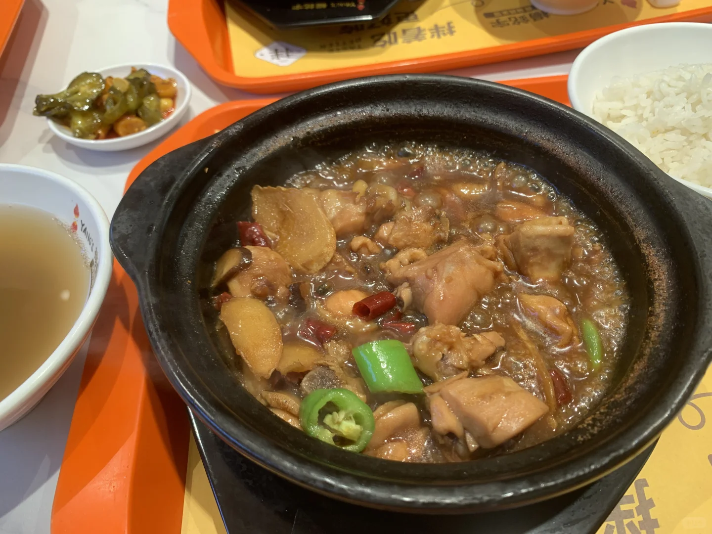 每次放小鼠照片总会有人说违背实验伦理