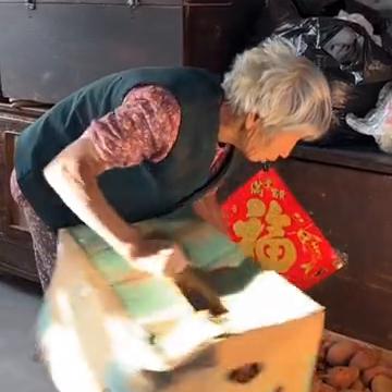 母亲担心下霜，于是将蔬菜全部采摘。我母亲将大萝卜全部拔除。我嫂子需要萝卜、白菜和