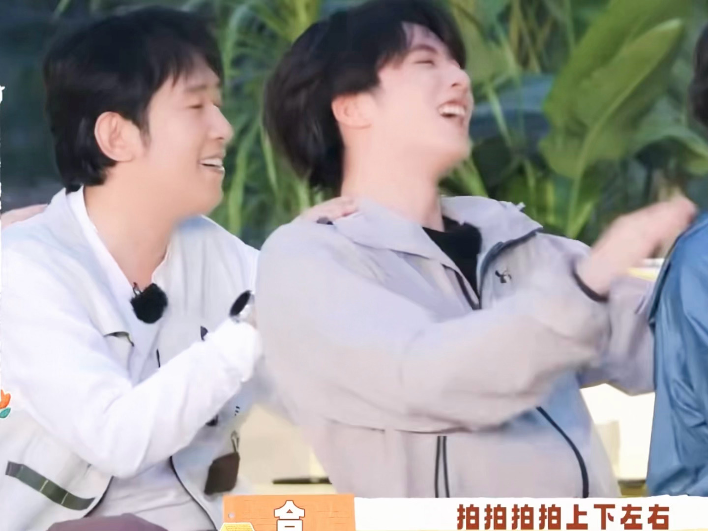 给我狗儿拍的乱七芭蕉的 