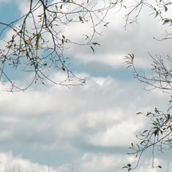 阳光信用 阳光信用每日一善 善虽小，每日积累， 多年后，积善如山。 小善是举手之