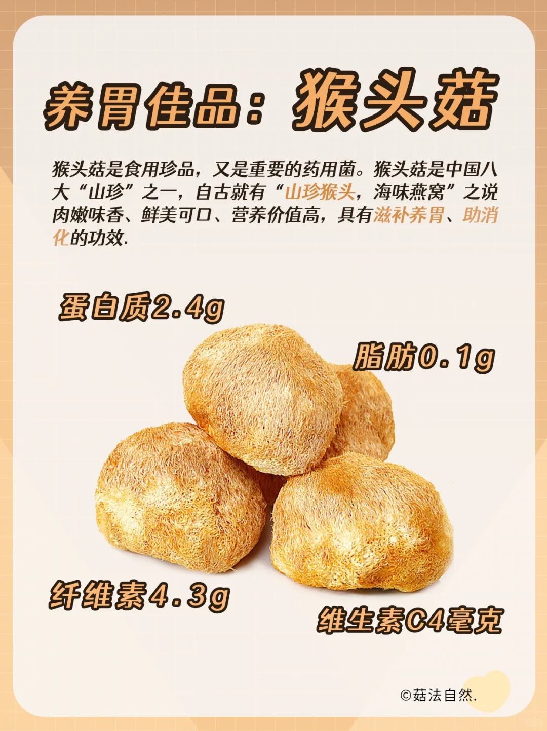 🔥养胃佳品——猴头菇