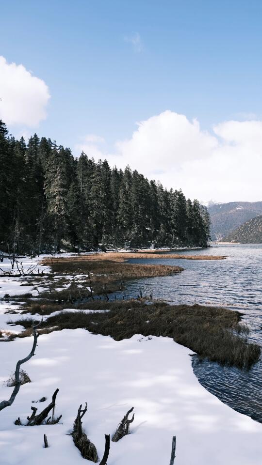 冬日普达措📍普渡众生之所🌲