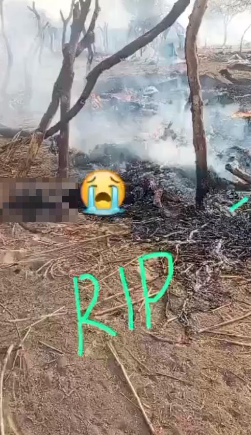 来自尼日利亚东北部的早期报告称，博尔诺州-约贝州边境吉利市场遭到破坏的惨烈视频，