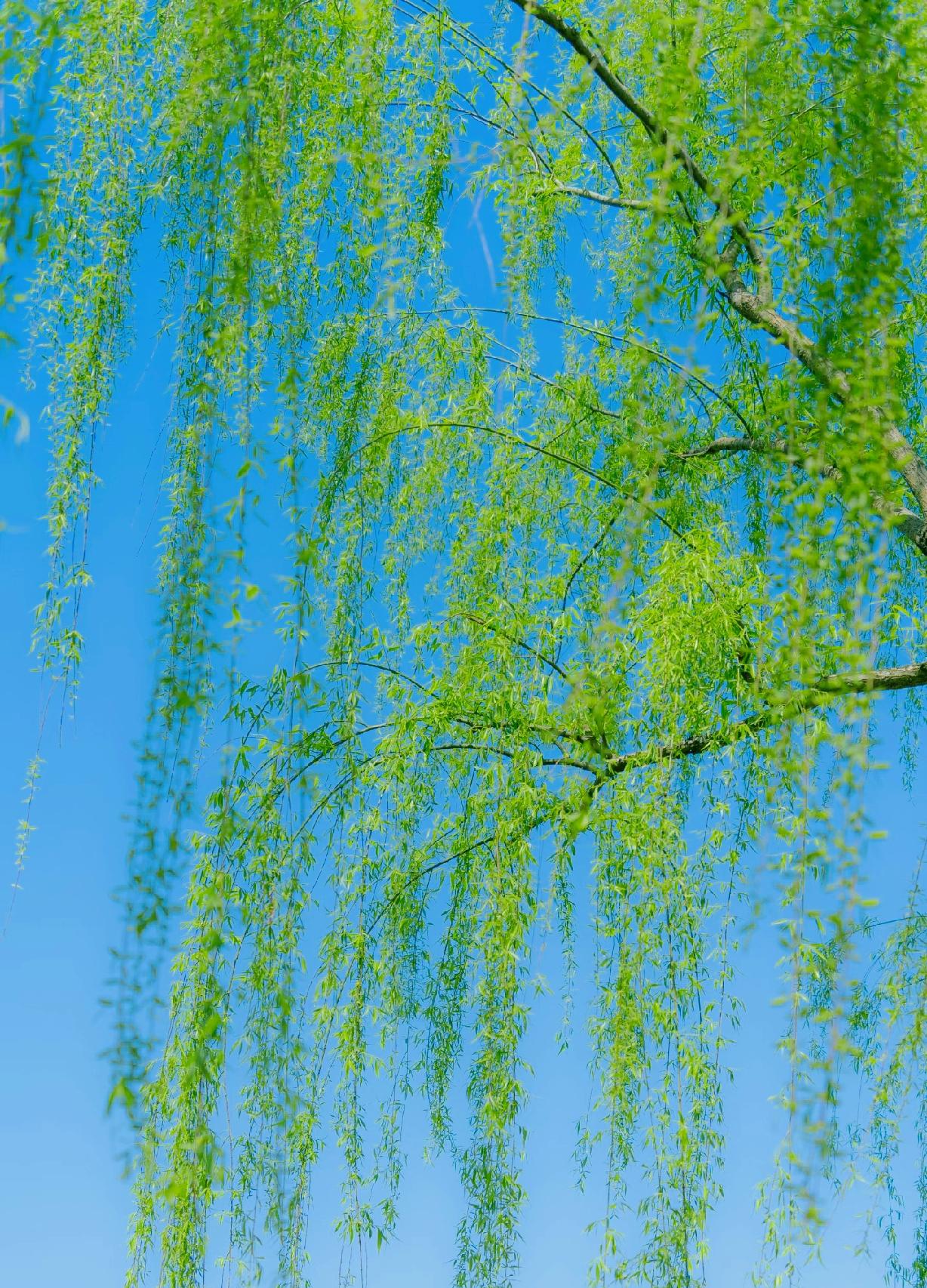 找恋人，你可以找丑的穷的你千万不能找克你的。，跟一个人能过好日子，第一天就过上了