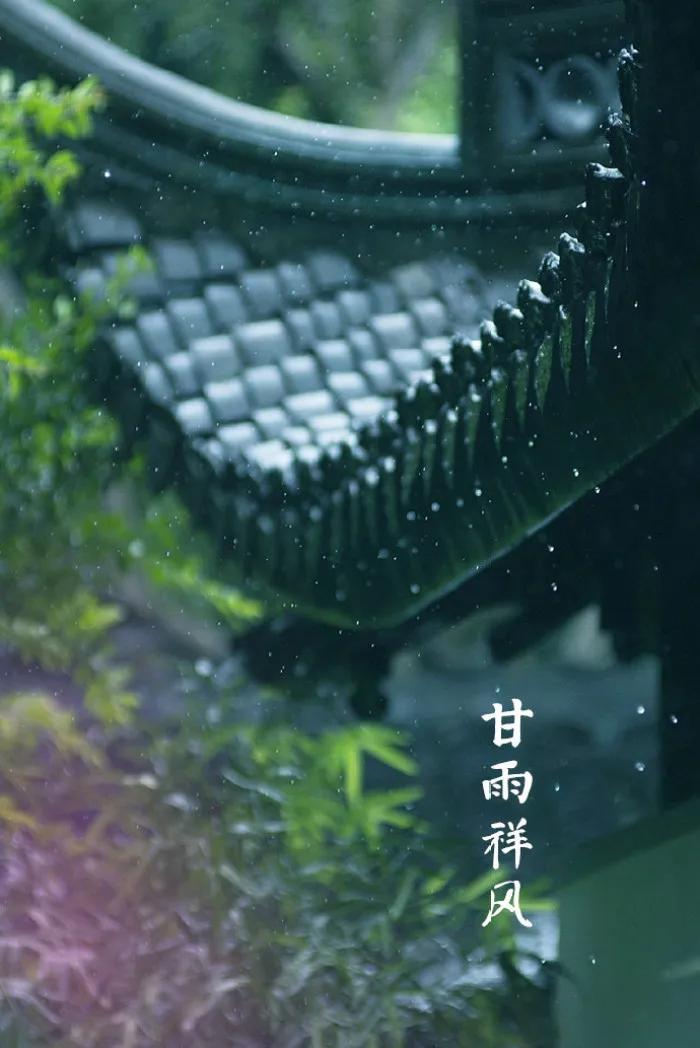 又是一年三月三，游春赏花，惟愿君康安！

农历三月初三，一个被人们渐渐淡忘的节日