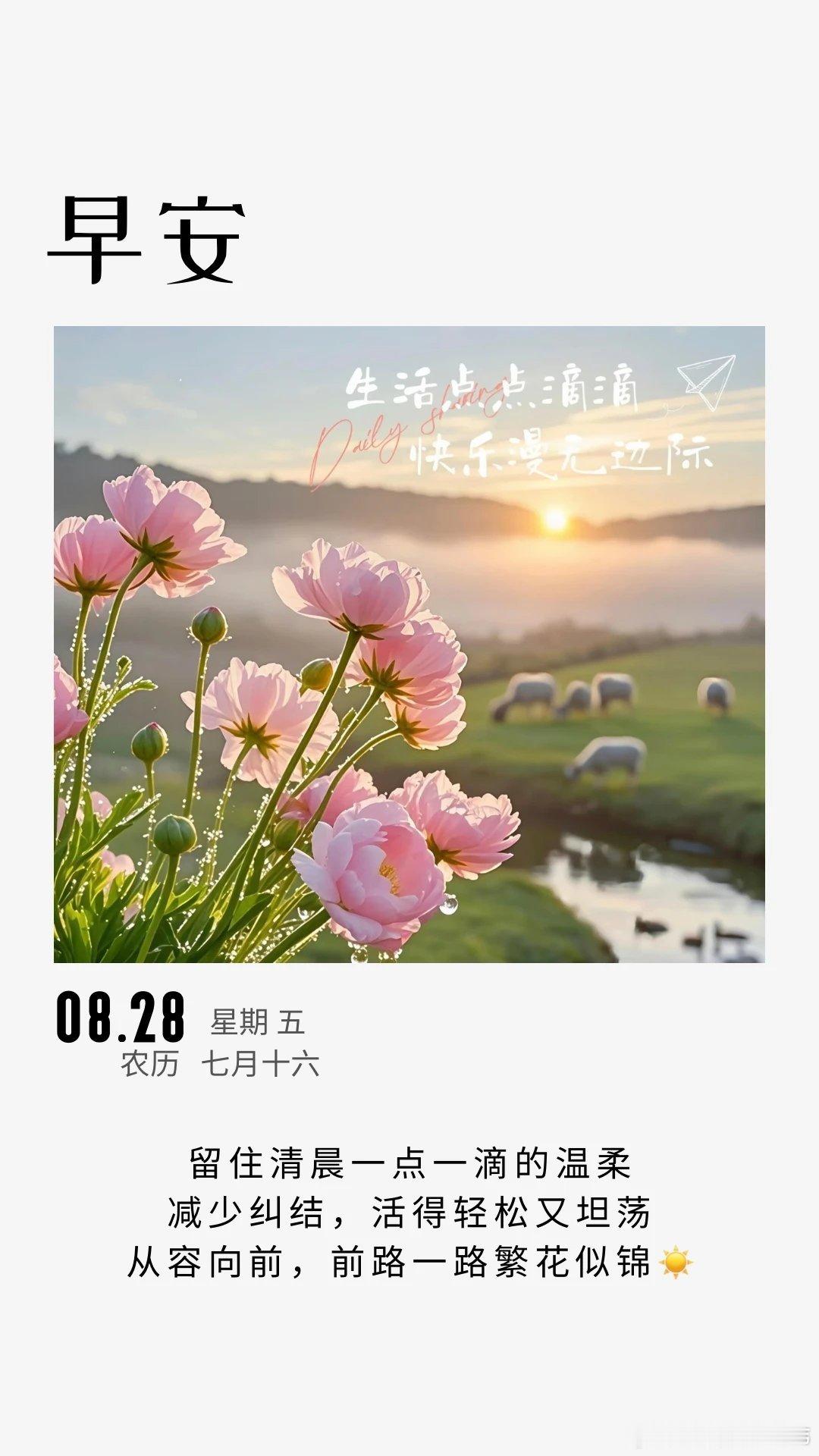 清晨的美好，在于万物皆可重新开始好好爱自己，从容往前走早安，新的一天！ ​​​