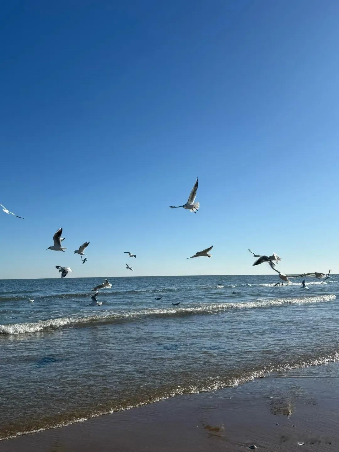 致2026的自己
 
嘿，2026年的我！别来无恙啊？
 
新的一年，咱不求大富