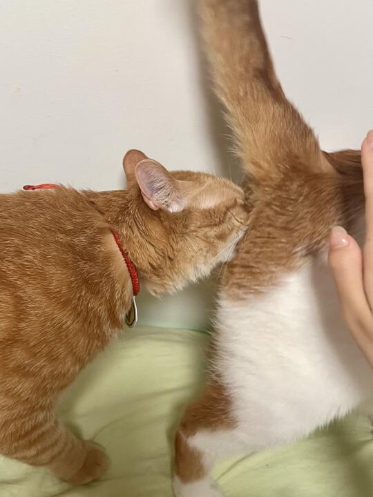 今日要闻