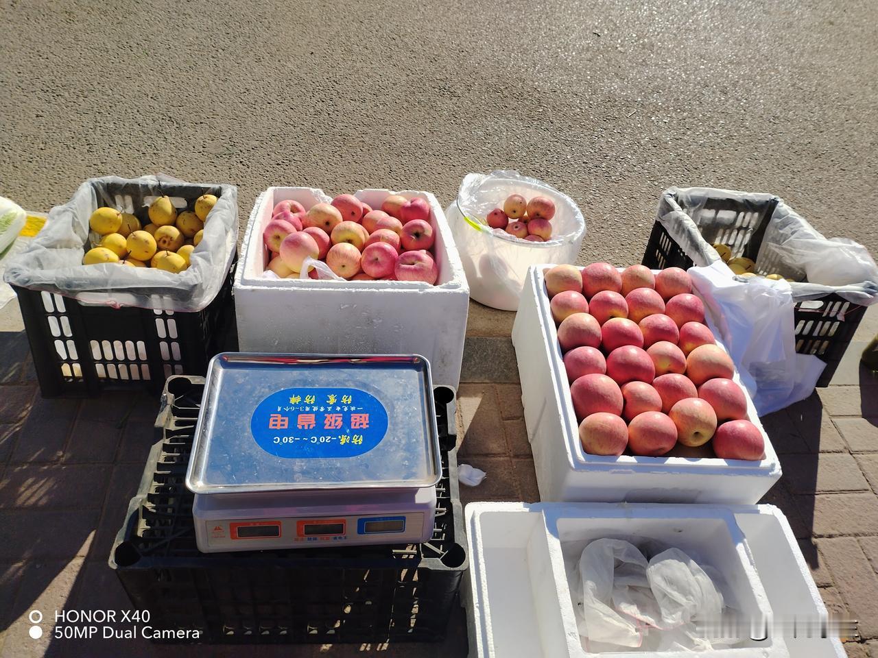 今天天气好暖和啊！我八点半才从家里出发去卖苹果。到那里一看，感觉有点诧异。

看