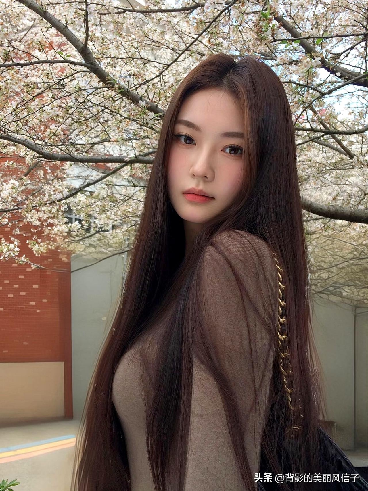 樱花树下，温柔少女，春日气息扑面而来