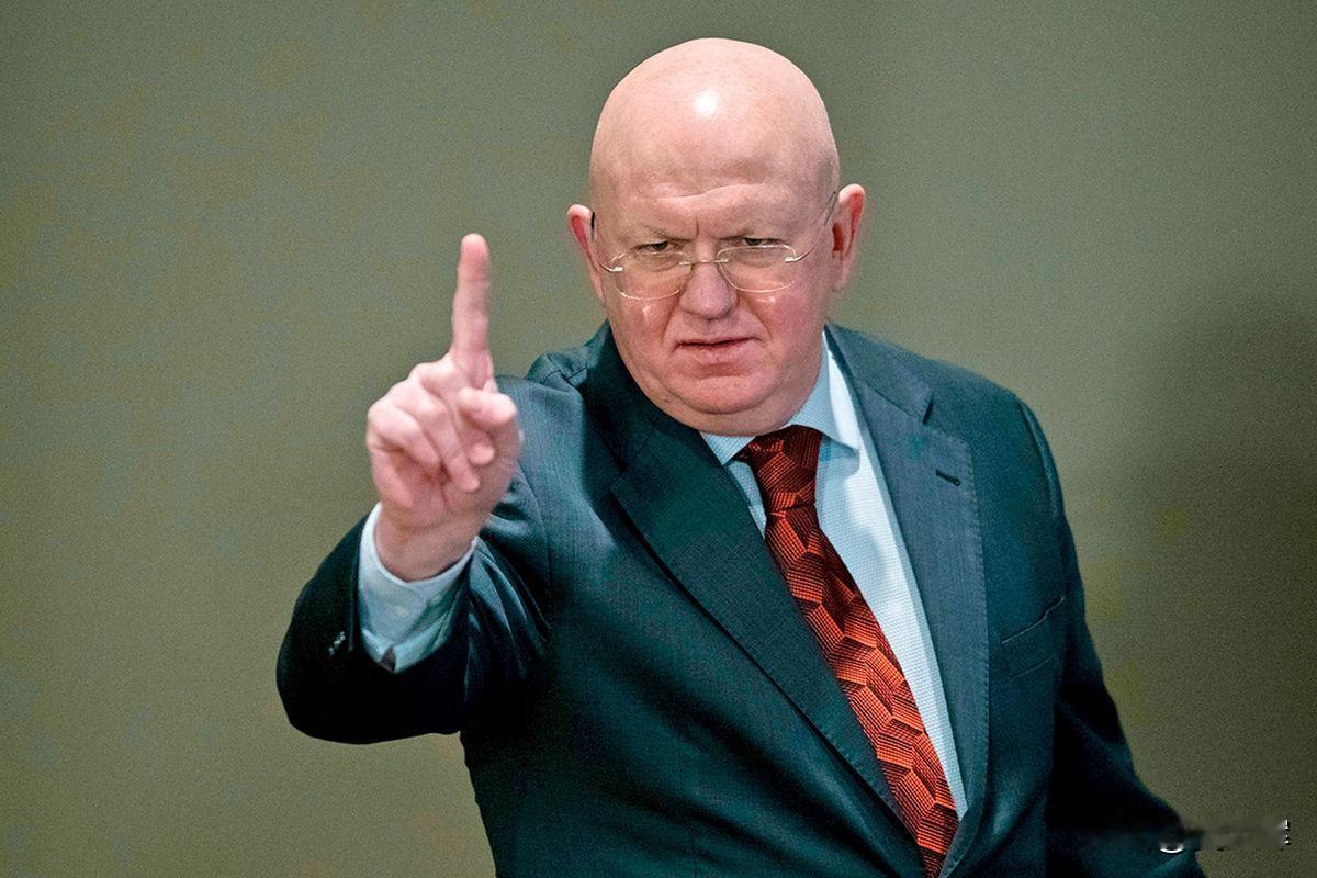 2月4日，俄罗斯常驻联合国及联合国安理会代表瓦西里·涅边贾表示，俄方期待美方在伊