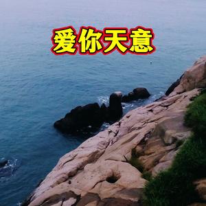 爱是天意顺天命