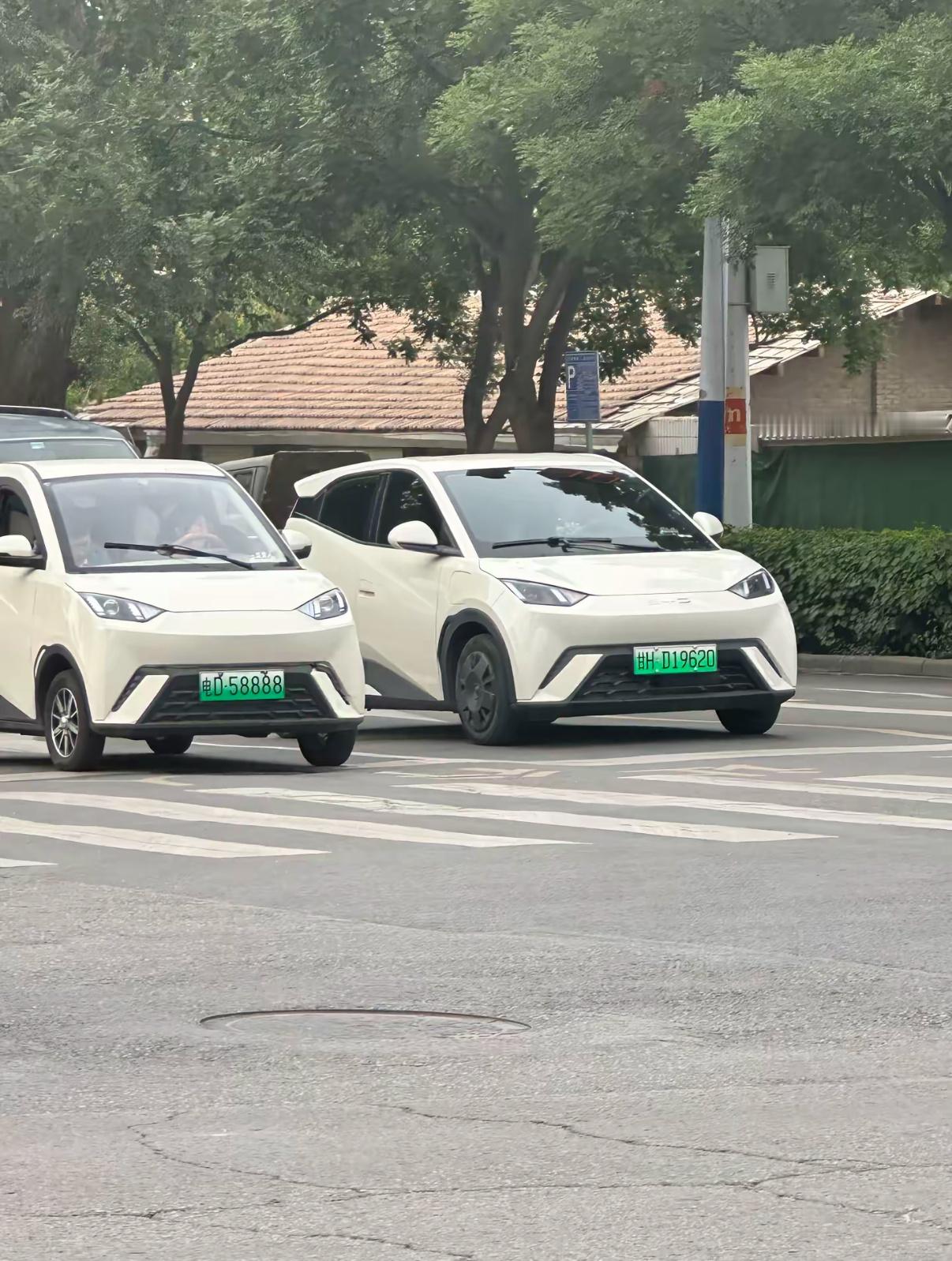 老头乐对比亚迪也下手了[doge] ​​​