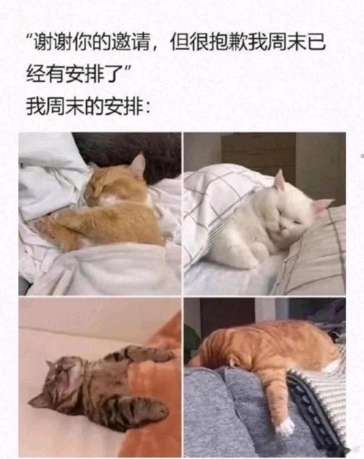 5418谢谢你的邀请 但我的周末有安排了 ​​​