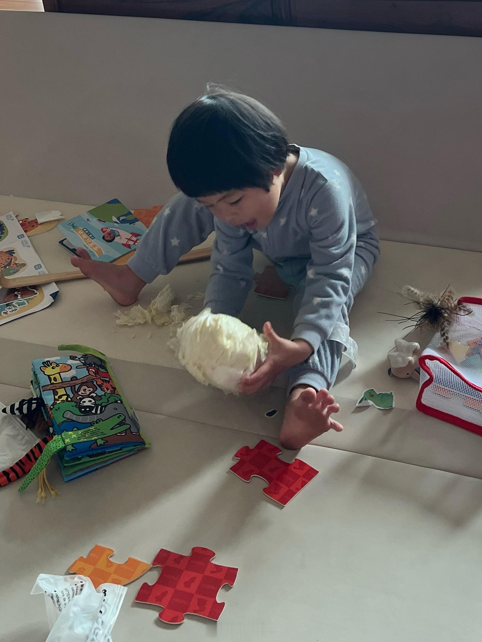 看到同龄人都在玩拼图了，也给球球买了一盒贵达100多的进口拼图。结果姐根本不玩，