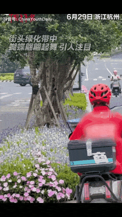 近日杭州又因街头美景登上热搜。这次出圈的不是西湖景致，也不是灵隐禅意，是萧山区平
