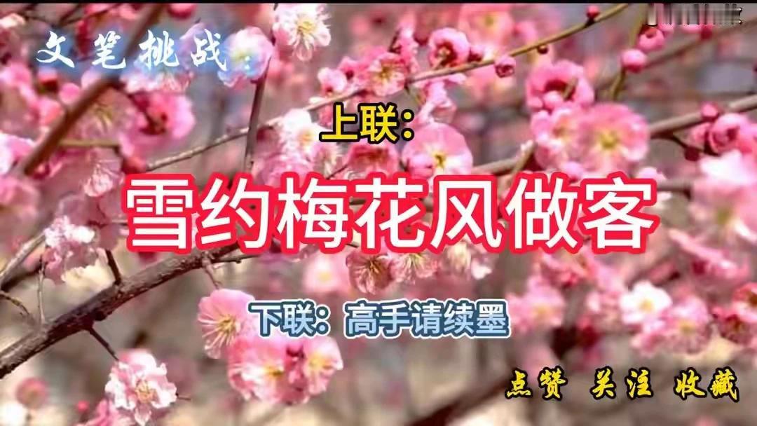 上联：雪约梅花风做客
下联：疏影横斜傲冰霜