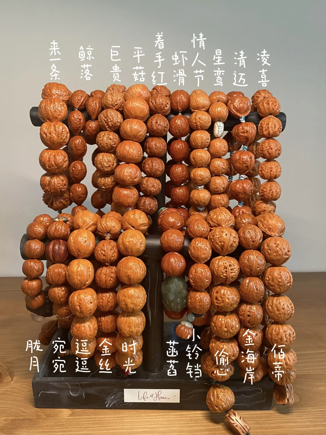 我的小核桃鉴赏图鉴📿此条👇🏻！！！