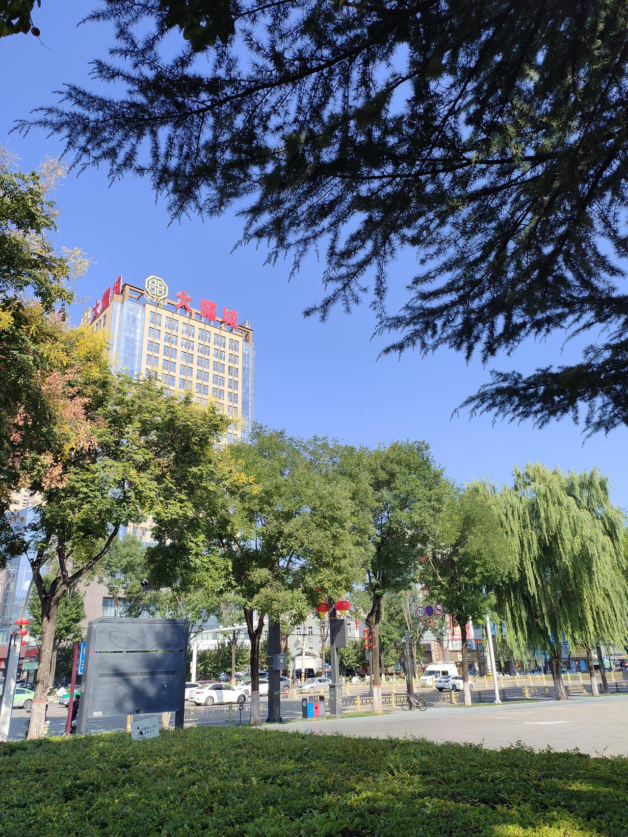 秋日生活打卡季绿树成荫，日光铺地，喧嚣闹市旁，寻一份安静悠然。