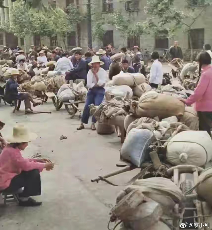 代表说农民交的公粮就等于交了社保支持交公粮就是交社保！作为一个农民的儿子，我亲眼