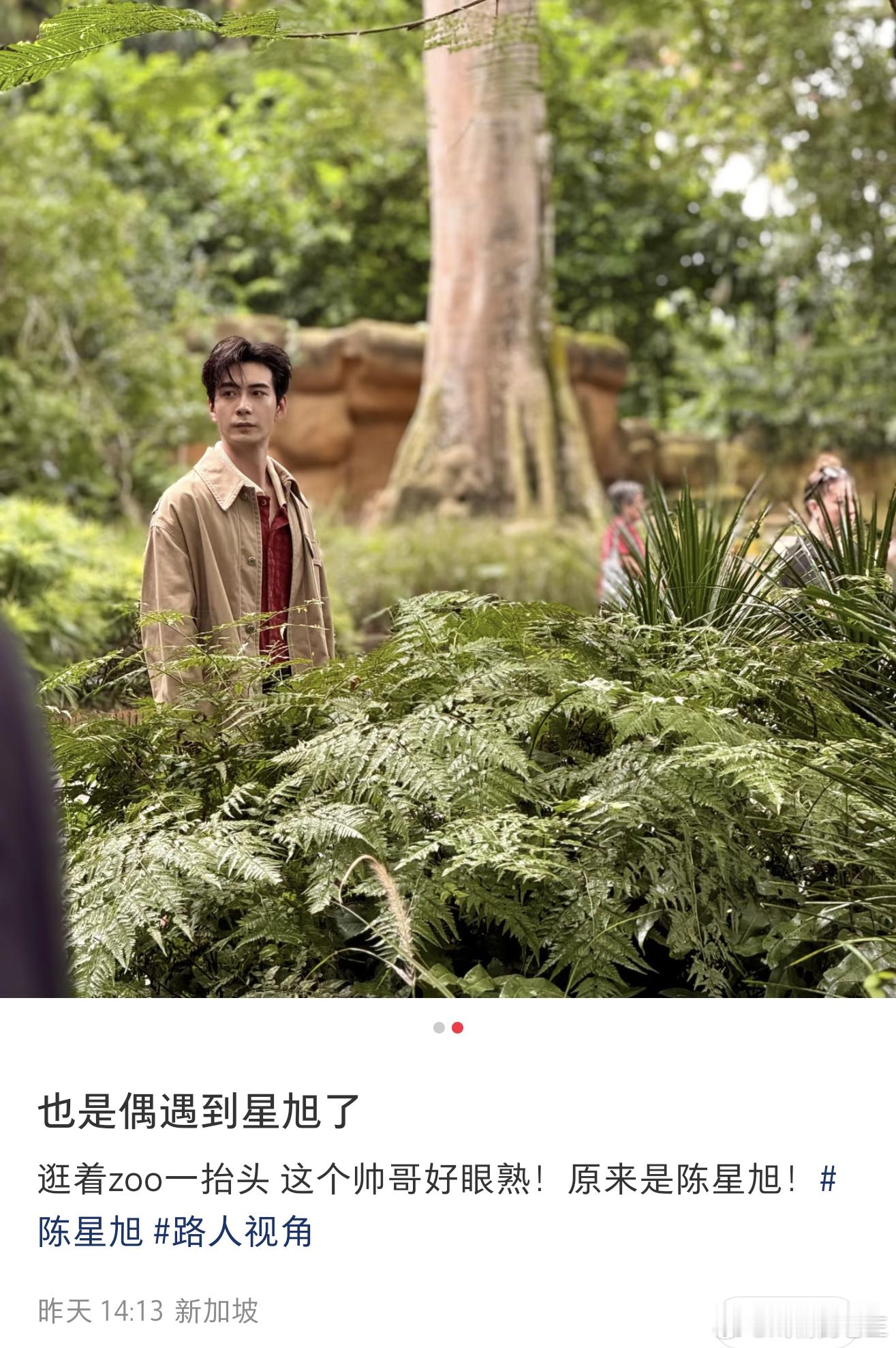 在国外的陈星旭就是各种被偶遇狠狠羡慕了那么多人偶遇怎么就没有一个我 