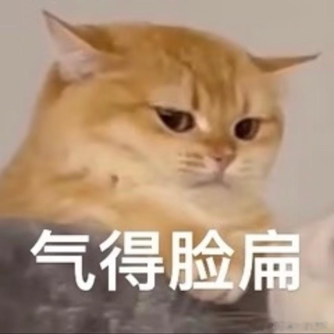 曝流量演员选戏不看剧本质量现在有好剧本吗？不都是买ip改编解决一下源头问题，边拍