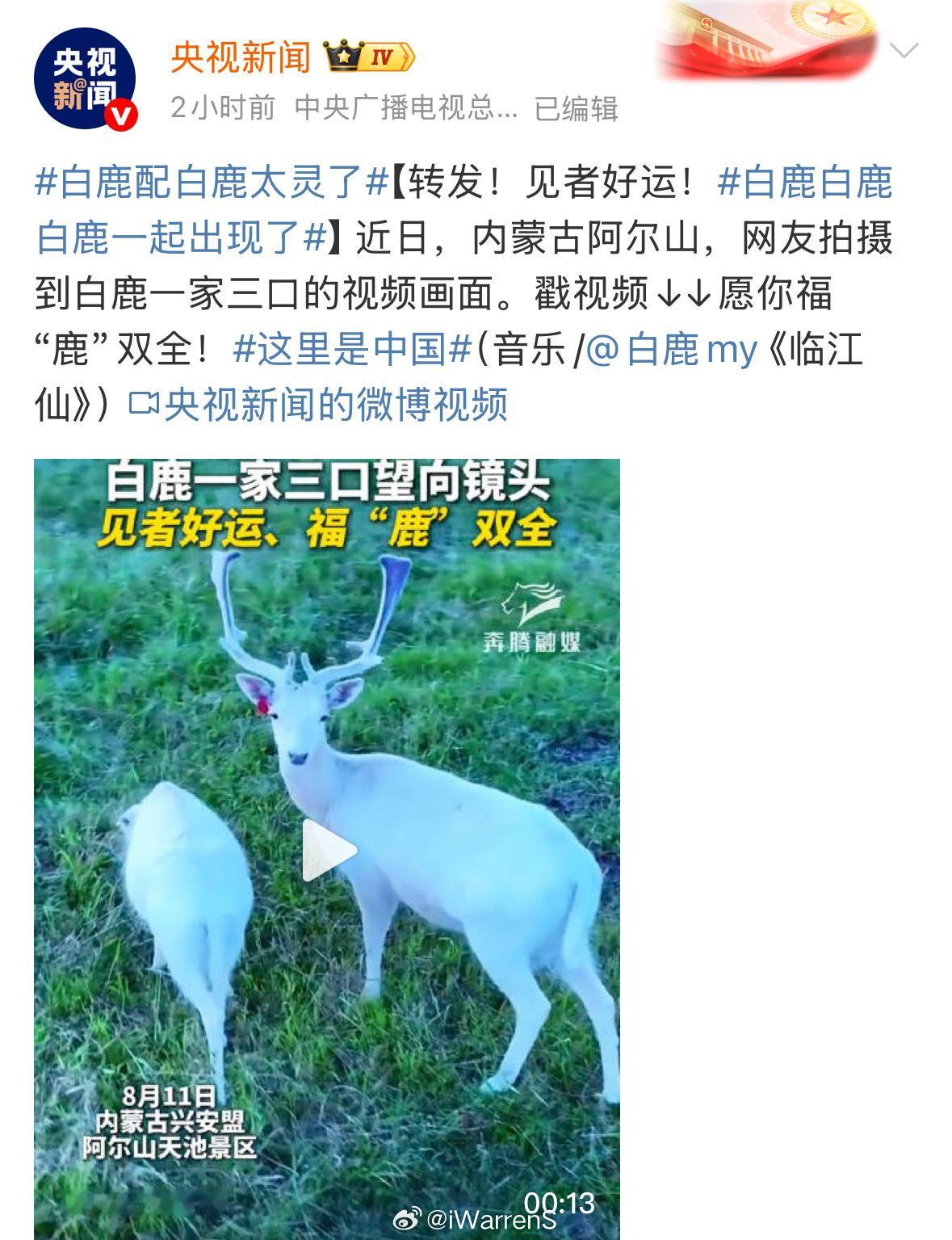 央视新闻发了白鹿唱的临江仙配乐了呀！[不愧是你]白鹿配白鹿太灵了 ​​​