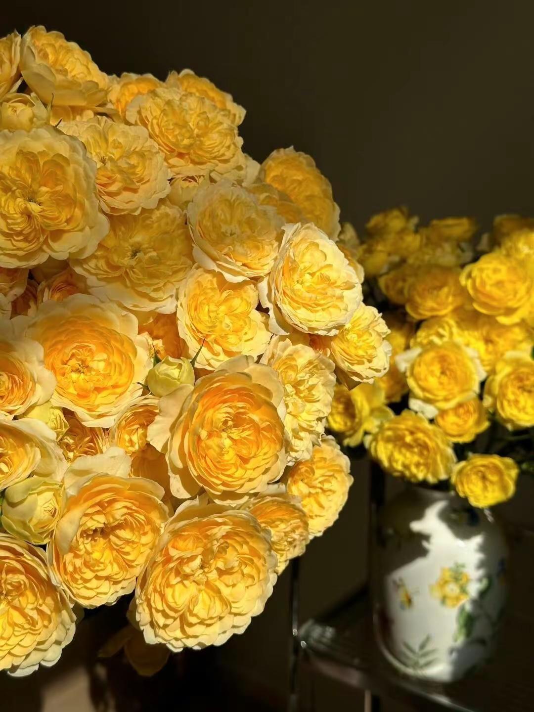 放过执念里的自己，不是妥协，而是与自己和解。承认自己的无能为力，不是懦弱，而是清