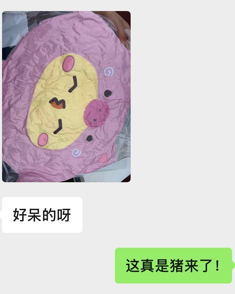 欺负一个猪？ 