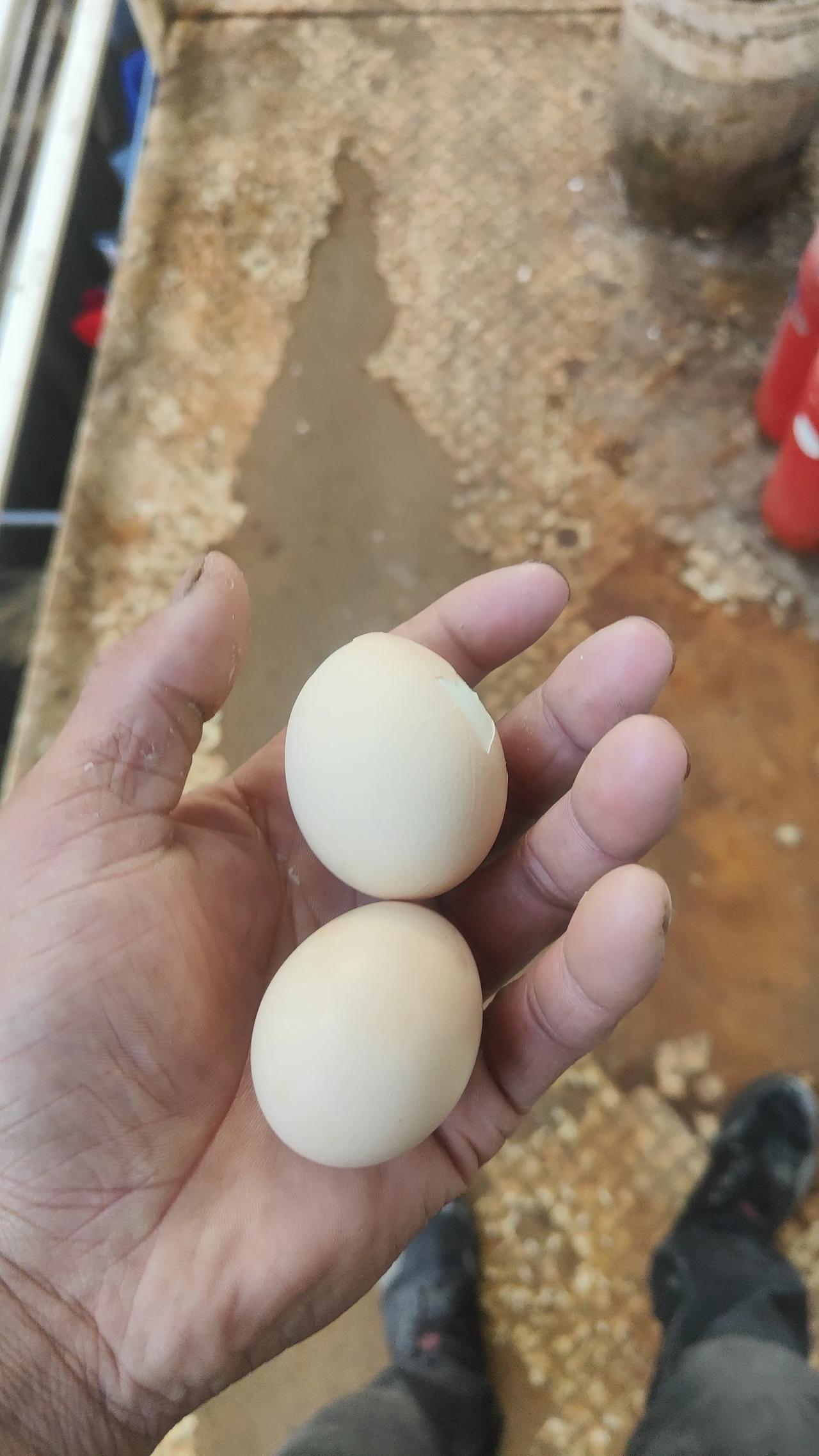 上海工地打工消费真高。
我是一位80后小伙，来上海工地两个月了，现在在一家工地做