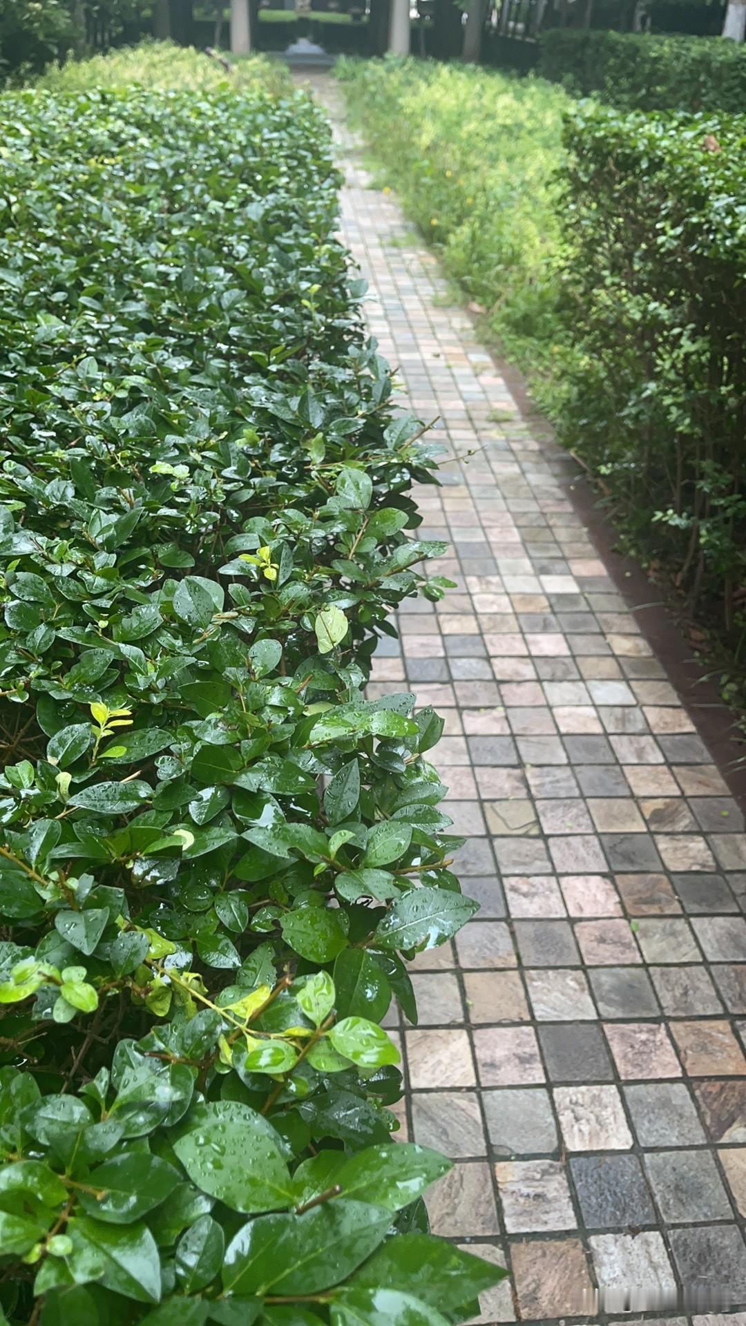 免费按摩为何能精准骗到老年人老小孩，老小孩，老人的思维又回到儿童时代，所以，好骗