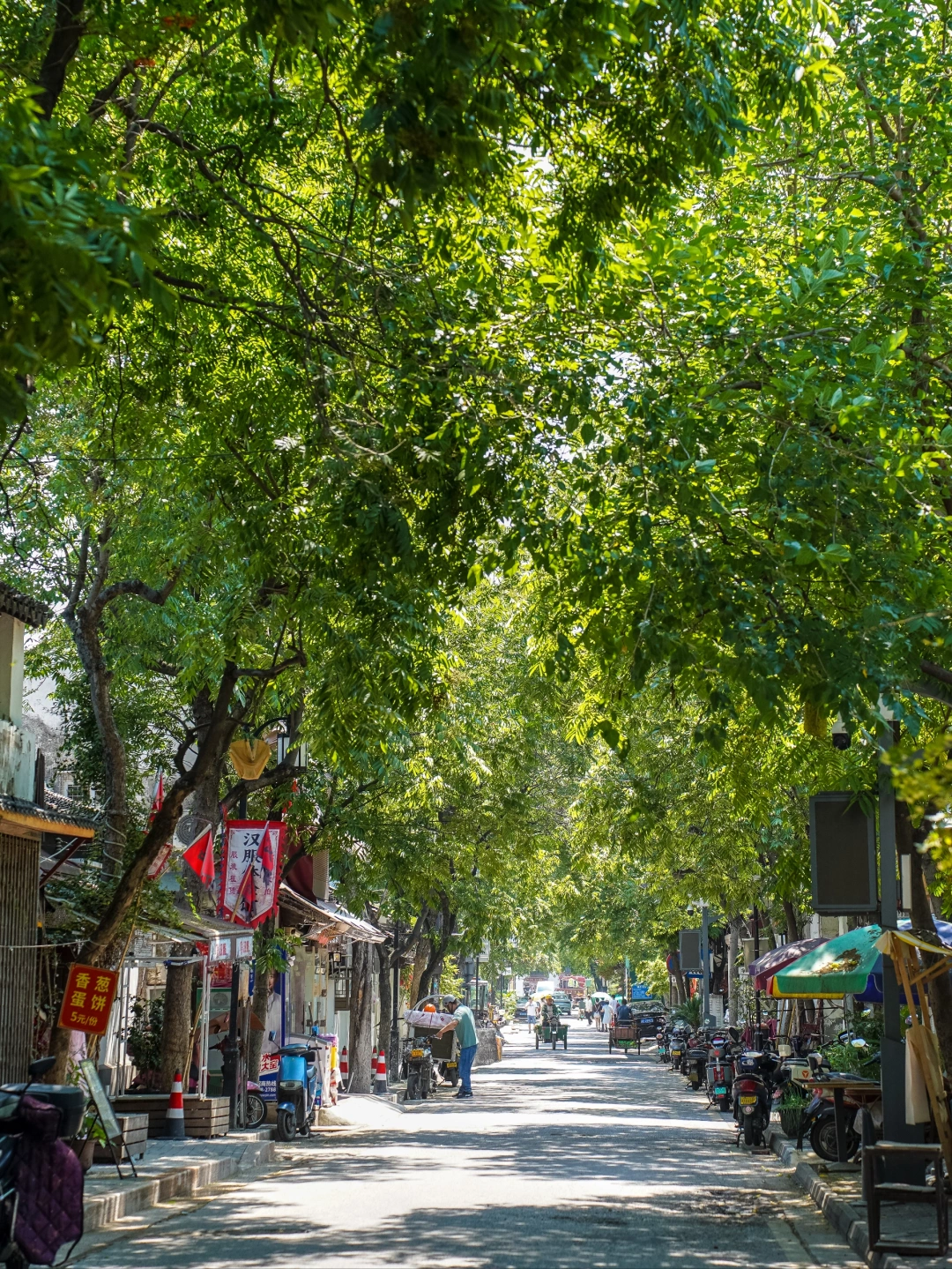 苏州百巷｜诗经一样美的名字，藏着千年故事