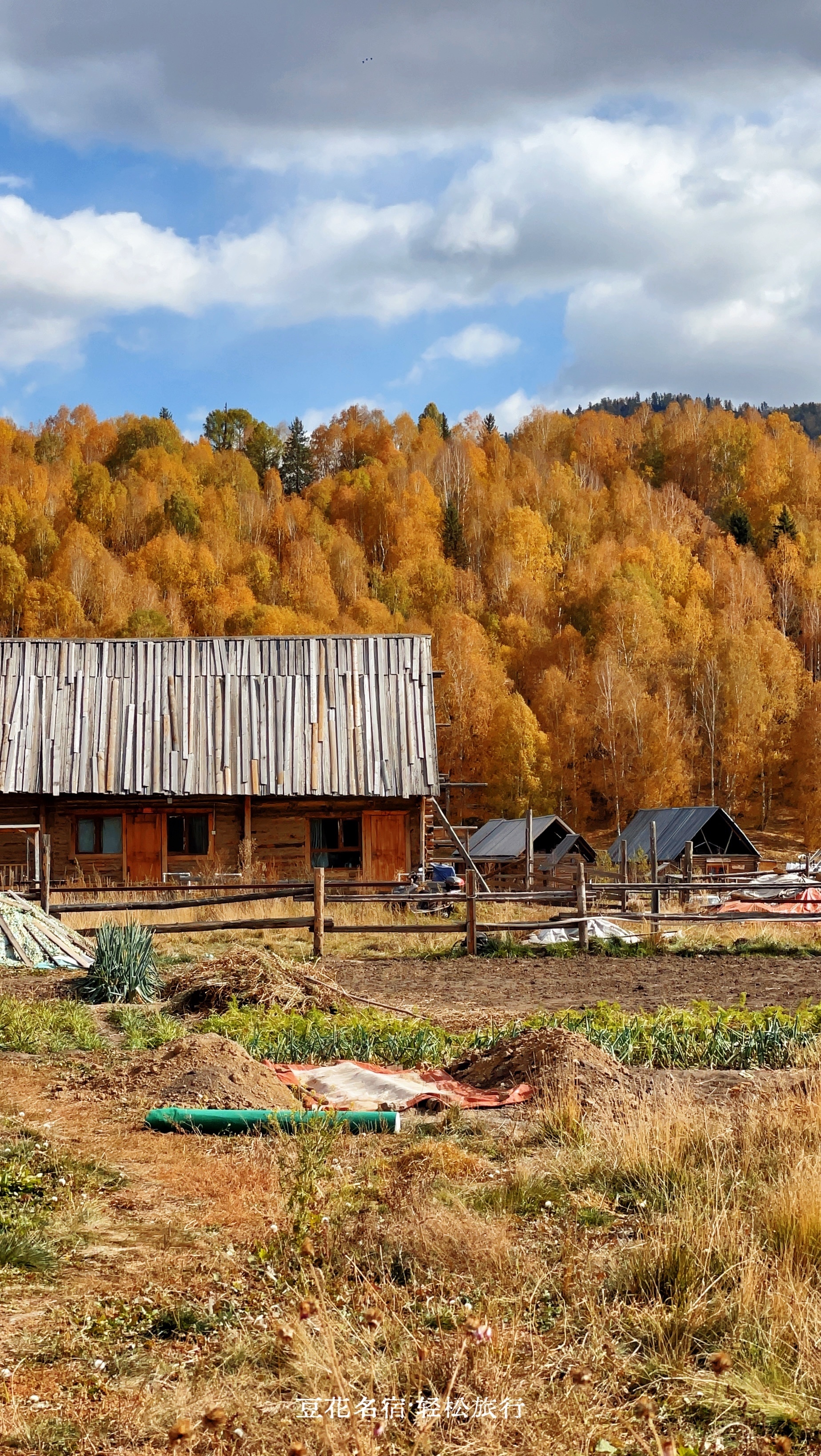 贺娇龙抢救无效不幸离世贺娇龙同志离世的消息传来，我满心震惊，实在难以置信。我是在