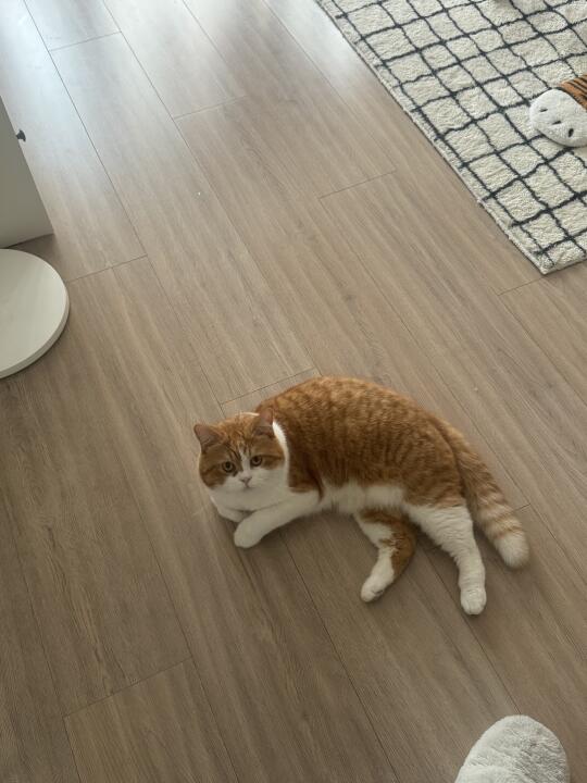 有没有人管管碰瓷啊？