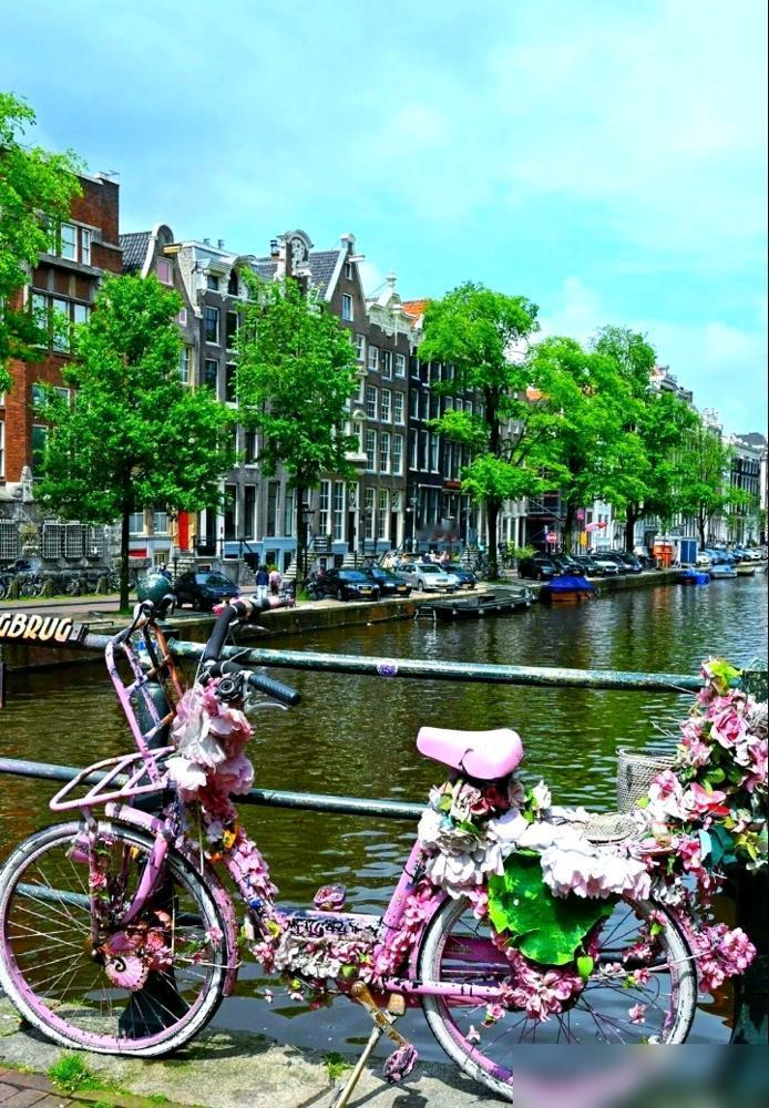 荷甲：费耶诺德-奈梅亨
是人是鬼都在秀唯独我们的范大将军范佩西最近被疯狂吊打，