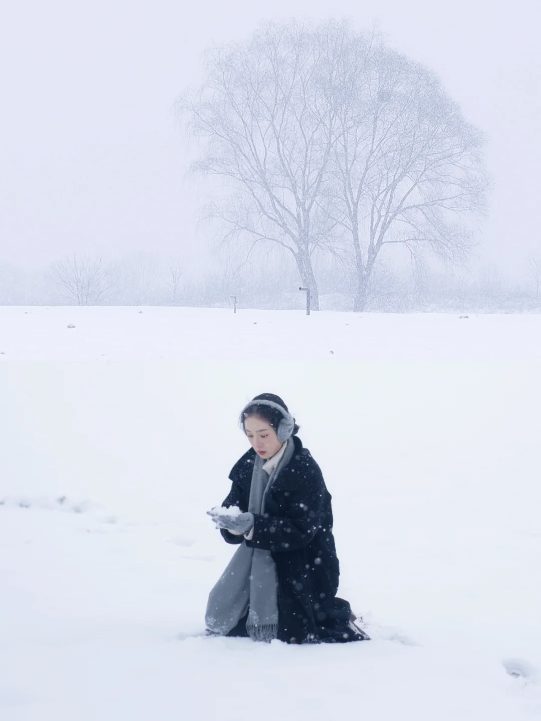 秦岭下雪❄️是i人会爱的孤独感