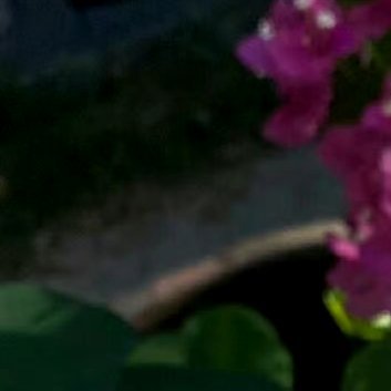 人生的路经历过，才知道有短有长；岁月，在无憾中微笑，才美丽；回过头，想着明天抱一